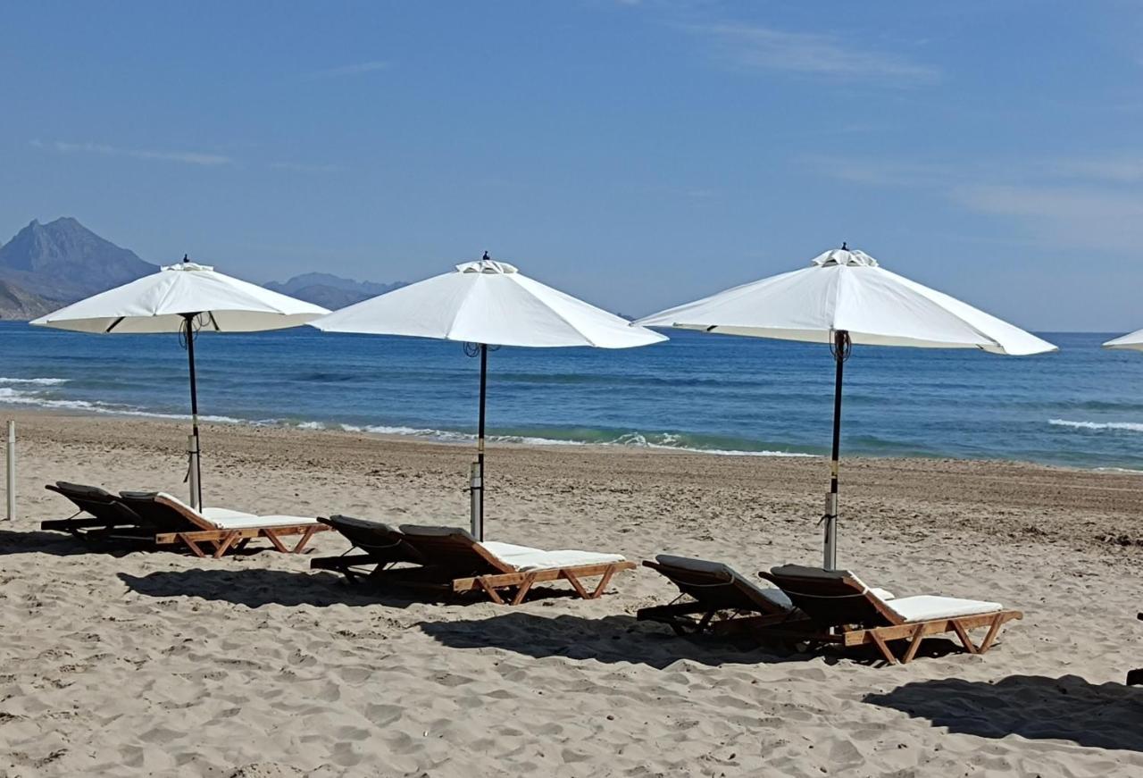 Apartamento Al Andalus Playa Muchavista El Campello Zewnętrze zdjęcie